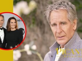 wil bakula