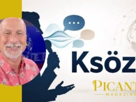 Ksozcu