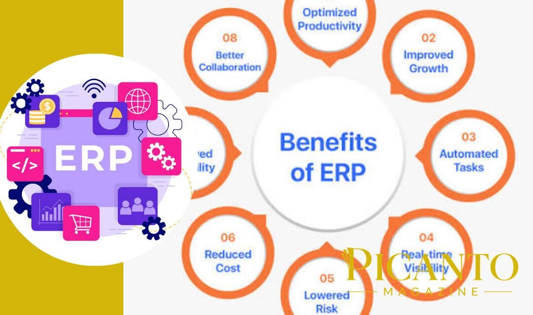 Benefits Of Using Enterprise Resource Planning Tools For Business Growth