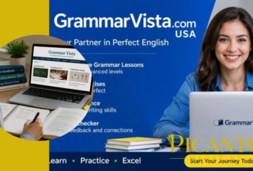 grammarvista com contact us