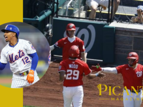 mets vs washington nationals match player stats