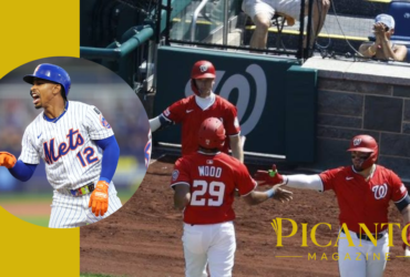 mets vs washington nationals match player stats