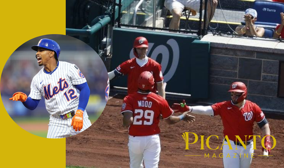 mets vs washington nationals match player stats