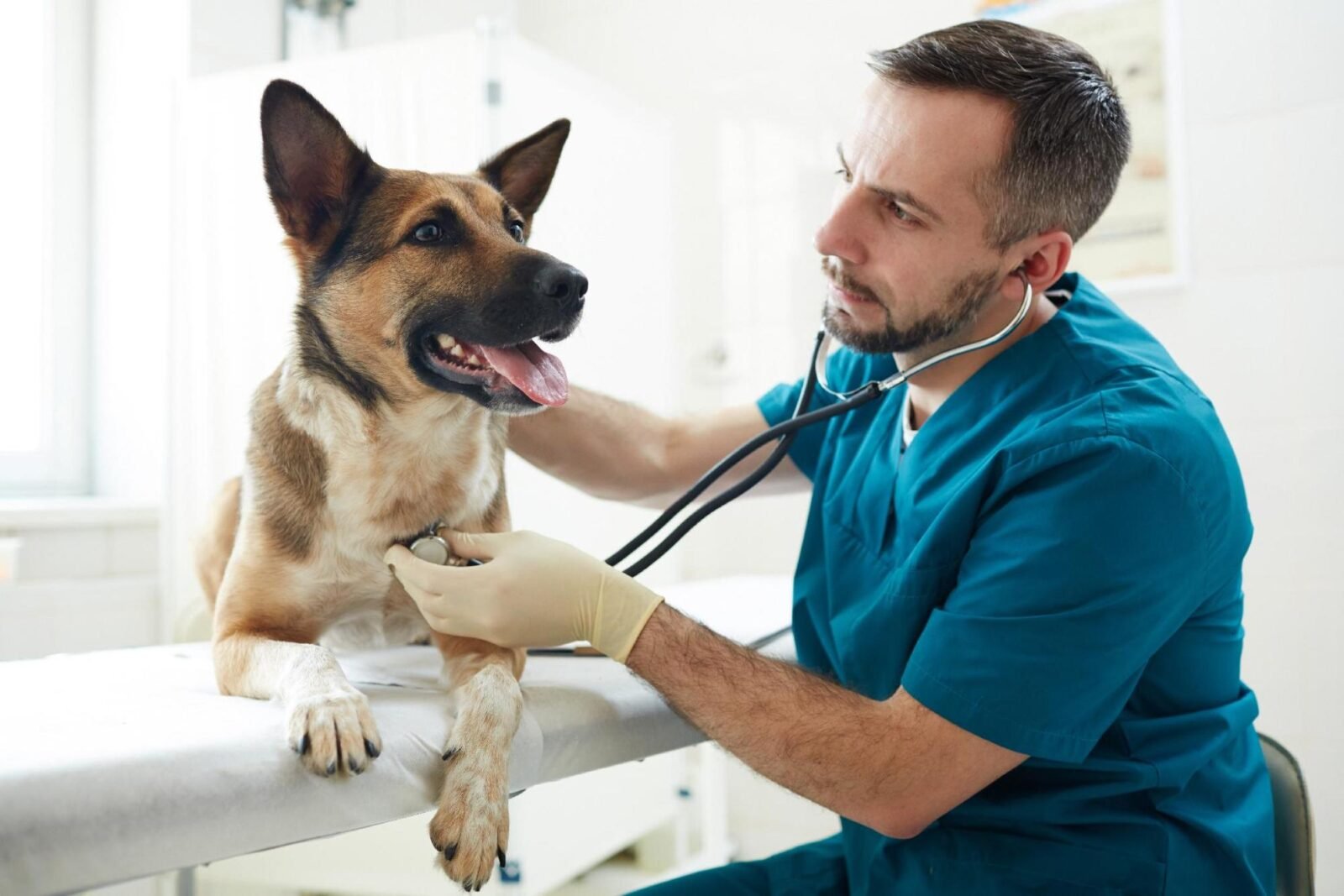 Financing for Veterinary Care