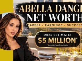 abella danger net worth
