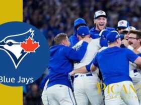 blue jays