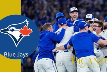 blue jays